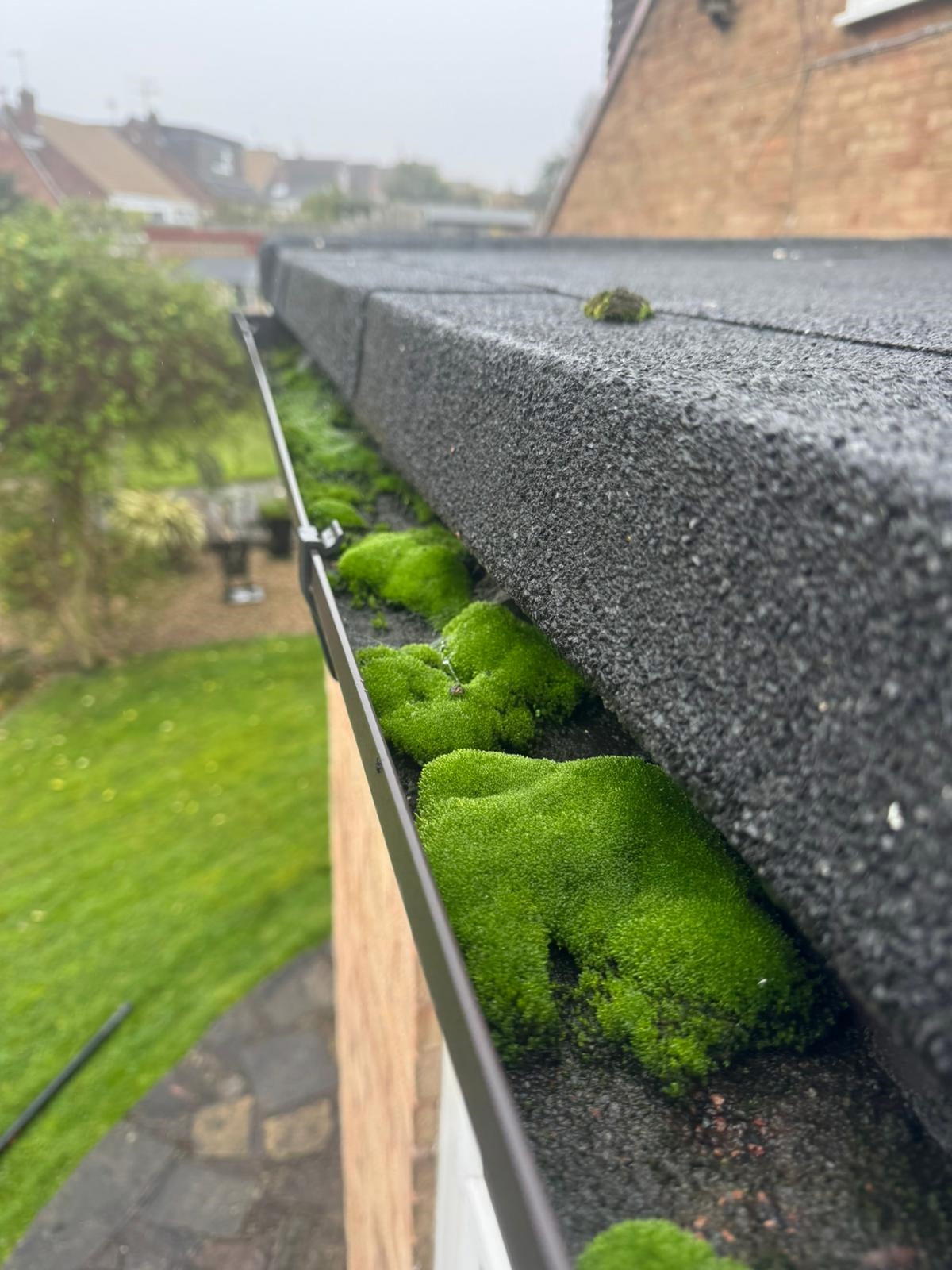 Photograph of Gutter Vacuum Cleaning in Watnall